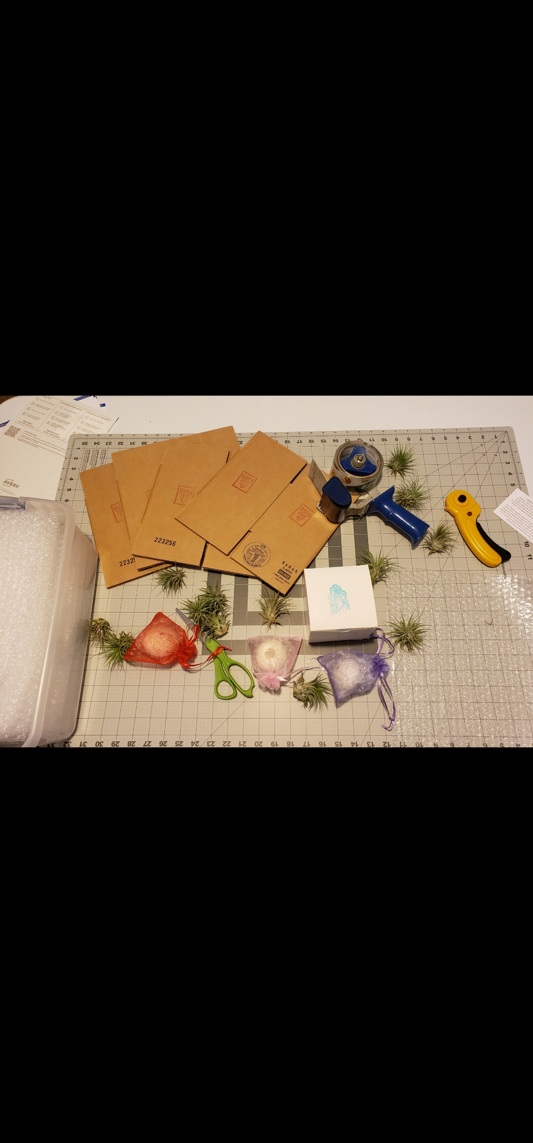 Decorative Cactus Arrangement