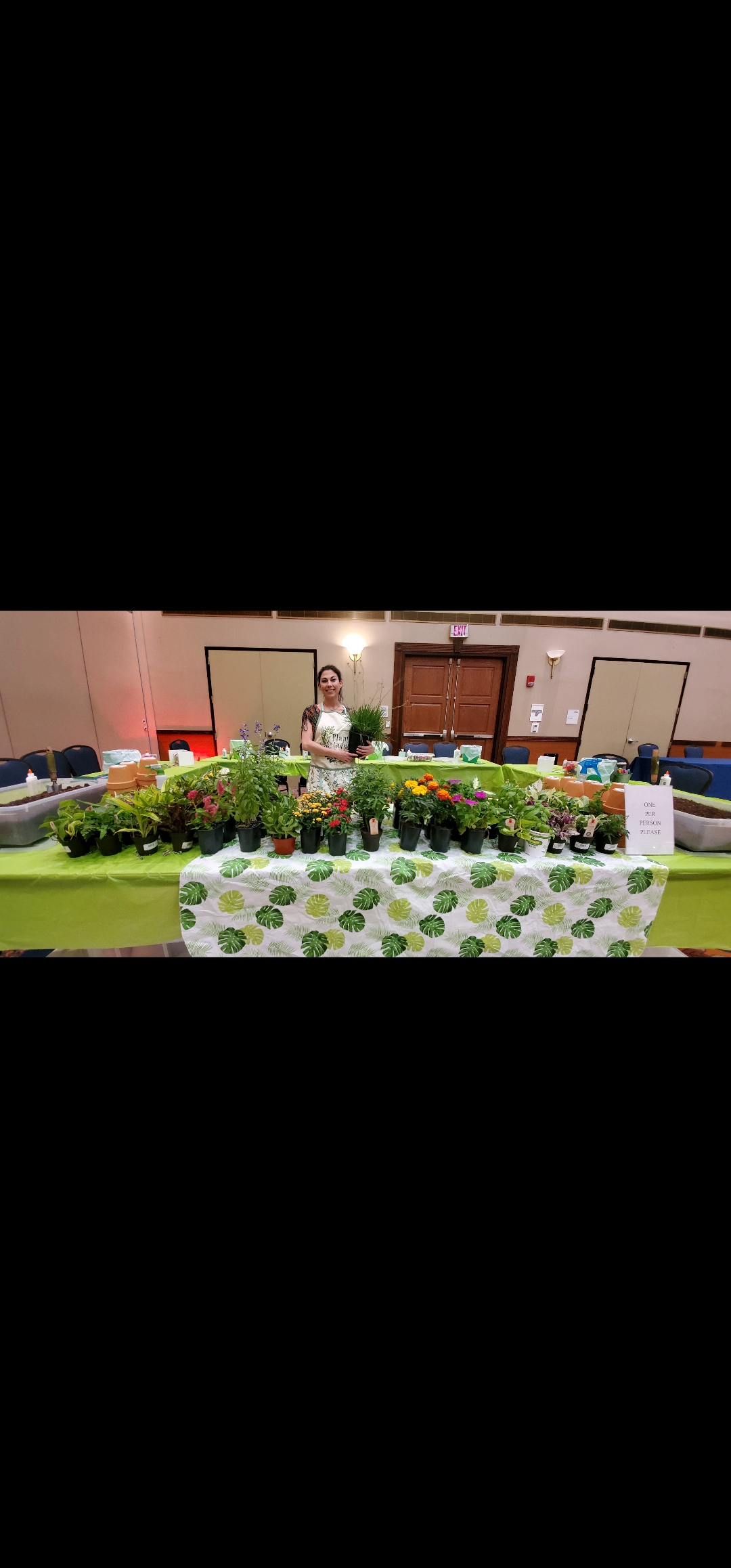 Natural Cactus Display